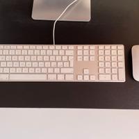 Apple Keyboard e Magic Mouse