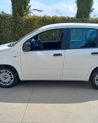 Fiat Panda BENZINA 5 POSTI 2021