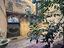 Immagine 29