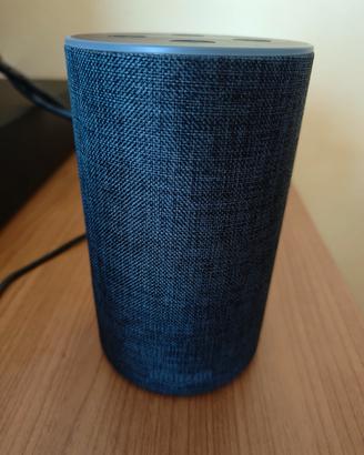 Echo Alexa