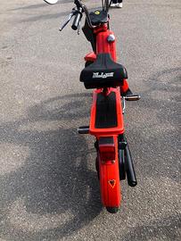 MALAGUTI NEW DRIBBLING