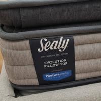  Sealy Evolution pillow to