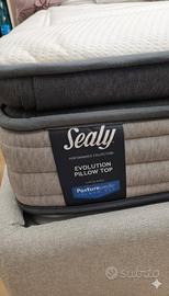  Sealy Evolution pillow to