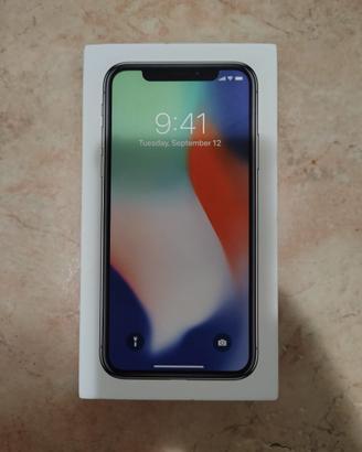 iPhone X