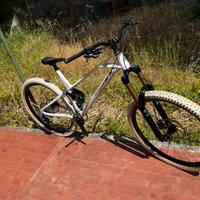 Mondraker foxy r custom