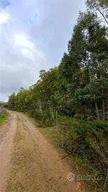 Terreno Agricolo a pochi passi dal paese