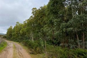 Terreno Agricolo a pochi passi dal paese