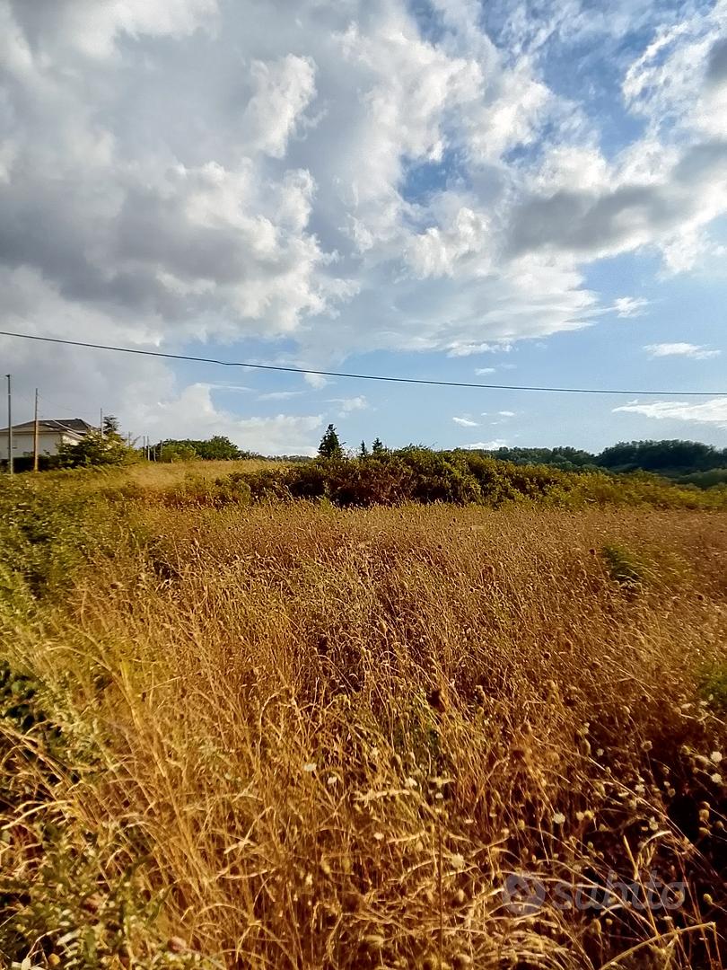 terreno agricolo in saporito - Vista 2