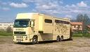 van-volvo-valli-trasporto-cavalli-con-popout