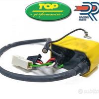 Centralina Top gialla anticipo fisso Euro 0-1