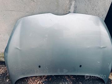 Portellone e cofano Ford Fiesta