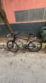Mtb olmo 26