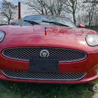 Cofano musata anteriore completa paraurti ali cint