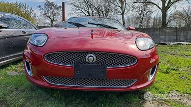 Cofano musata anteriore completa paraurti ali cint