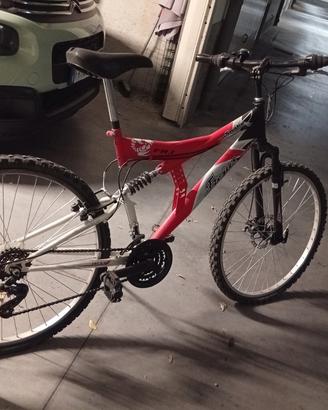MTB FREIUS