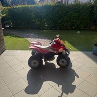 Quad elettrico Polaris