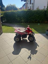 Quad elettrico Polaris