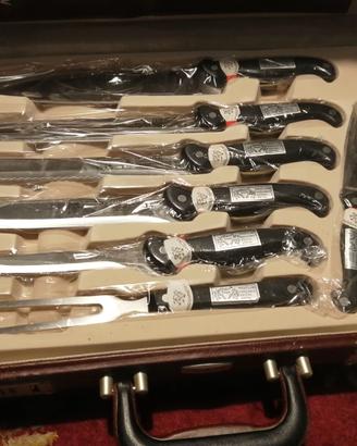 Set coltelli acciaio inox Offenbach Solingen