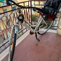 Bicicletta