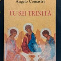 Tu sei trinita' -Angelo Comastri