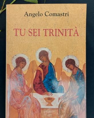 Tu sei trinita' -Angelo Comastri