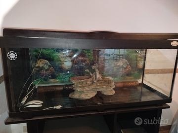 acquario 