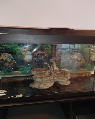 acquario 
