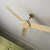VENTILATORE VORTICE DA SOFFITTO