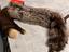 Immagine 4