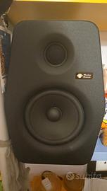 Coppia Monkey Banana Turbo6 - Monitor da studio