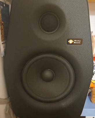 Coppia Monkey Banana Turbo6 - Monitor da studio