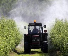 Terreno a Casale sul Sile (TV)