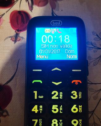 cellulare trevi 10