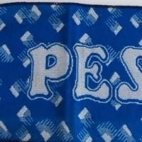 Sciarpa "curva nord pescara" anni '90