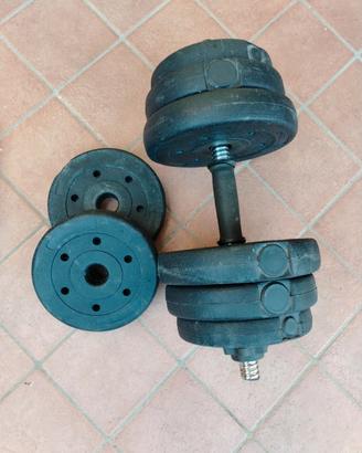 Manubri per allenamenti base