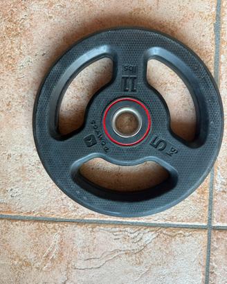 Dischi gommati 5kg decathlon