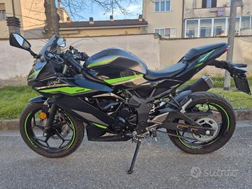 Kawasaki Ninja 125 2024 - 465 km - PARI AL NUOVO