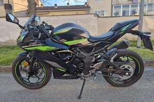 Kawasaki Ninja 125 2024 - 465 km - PARI AL NUOVO