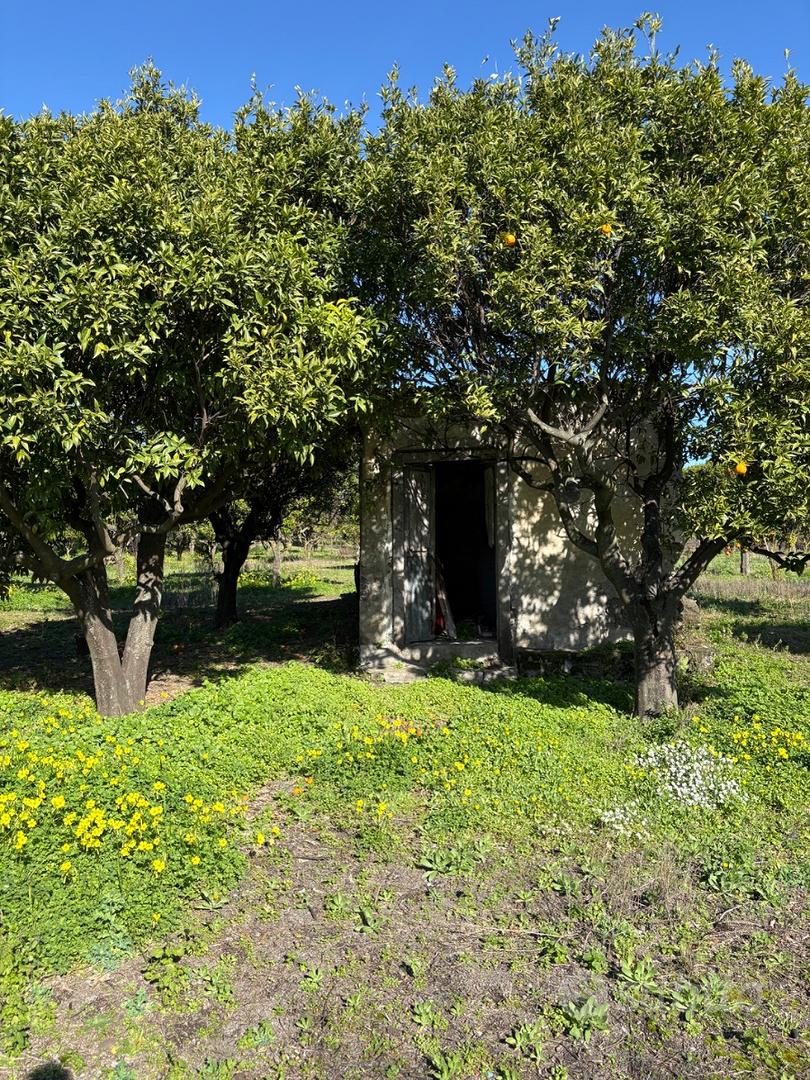 Terreno agricolo - Vista 4