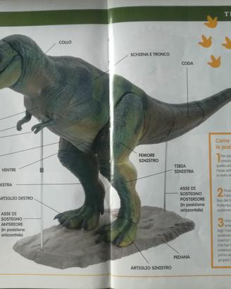 Tirannosauro Rex - La Grande Preistoria.