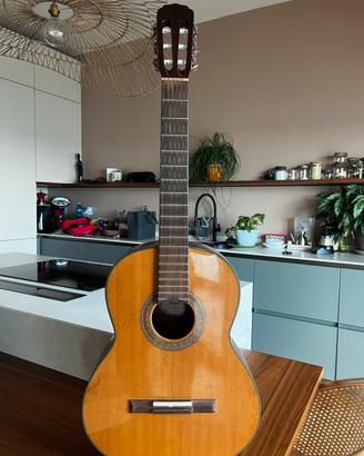 Chitarra CORT con custodia