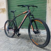 mountain bike montana