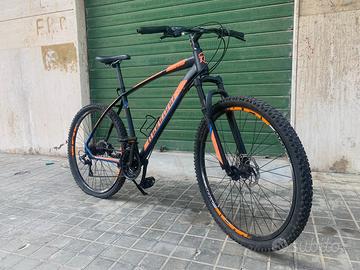 mountain bike montana