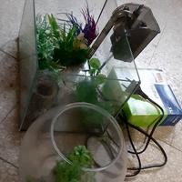 acquario con kit per temperatura e filtraggio