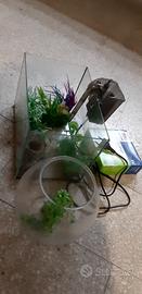 acquario con kit per temperatura e filtraggio