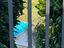 Immagine 11