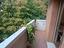 Immagine 19
