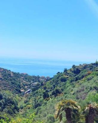 Villa di 244 m² con più di 5 locali a Bordighera
