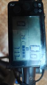 bici pedalata assistita 