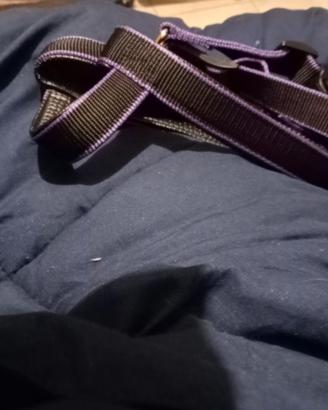 Pettorina e piccolo Guinzaglio